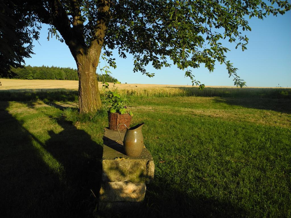 Alte Scheune Rietzschelhof Muglitztal ภายนอก รูปภาพ