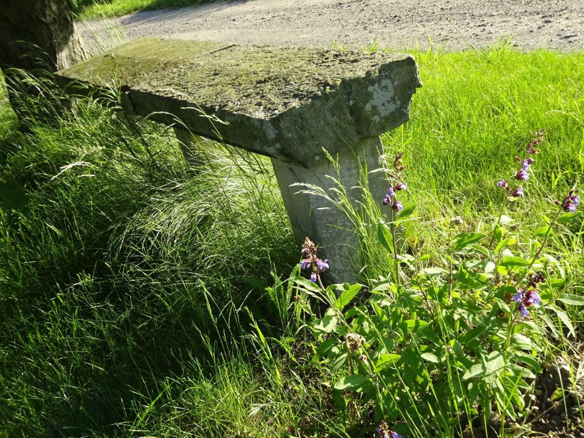 Alte Scheune Rietzschelhof Muglitztal ภายนอก รูปภาพ